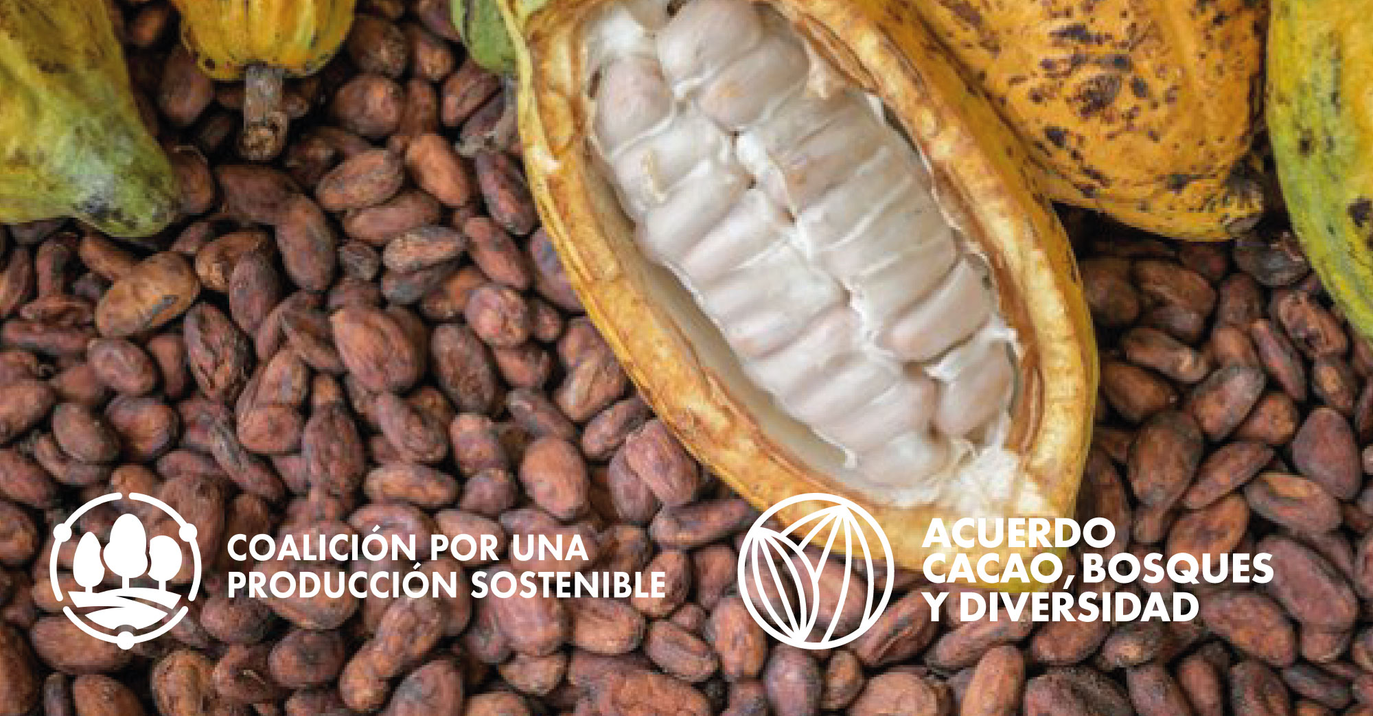 Primera reunión de miembros implementadores del Acuerdo Cacao, Bosques y Diversidad