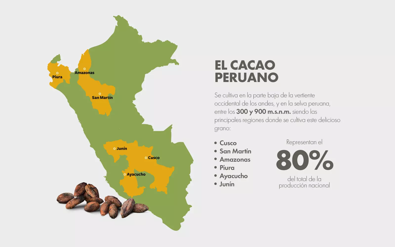 mapa-peru-cacao