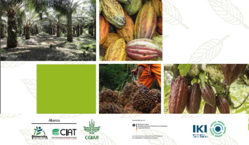 Policy brief | Incentivos para contribuir a la reducción de la deforestación en cadenas de valor de commodities agrícolas en la Amazonía peruana